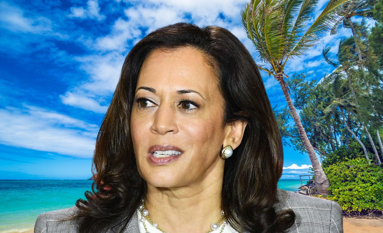 Vice President Harris's Hawaii under-the-radar vacation is going well, however another staff member has turned in their resignation.