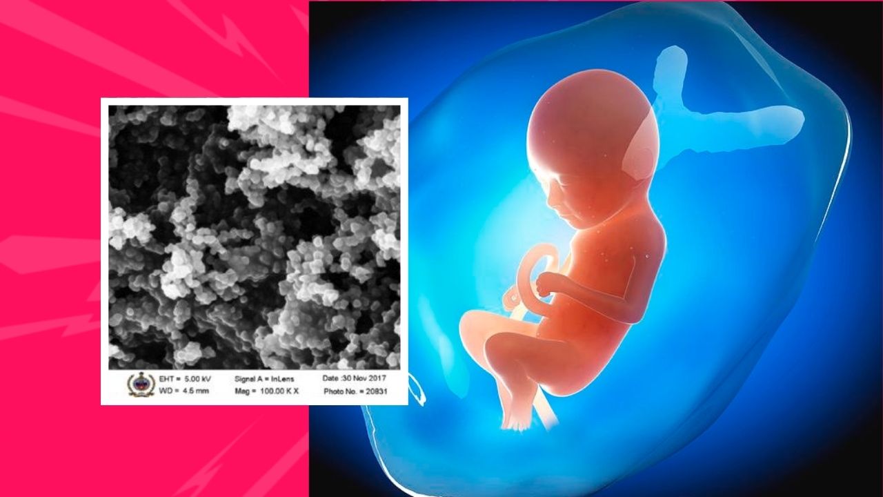A new study found evidence of black carbon nanoparticles in umbilical cord blood and showed they could cross the placenta and into the fetus.