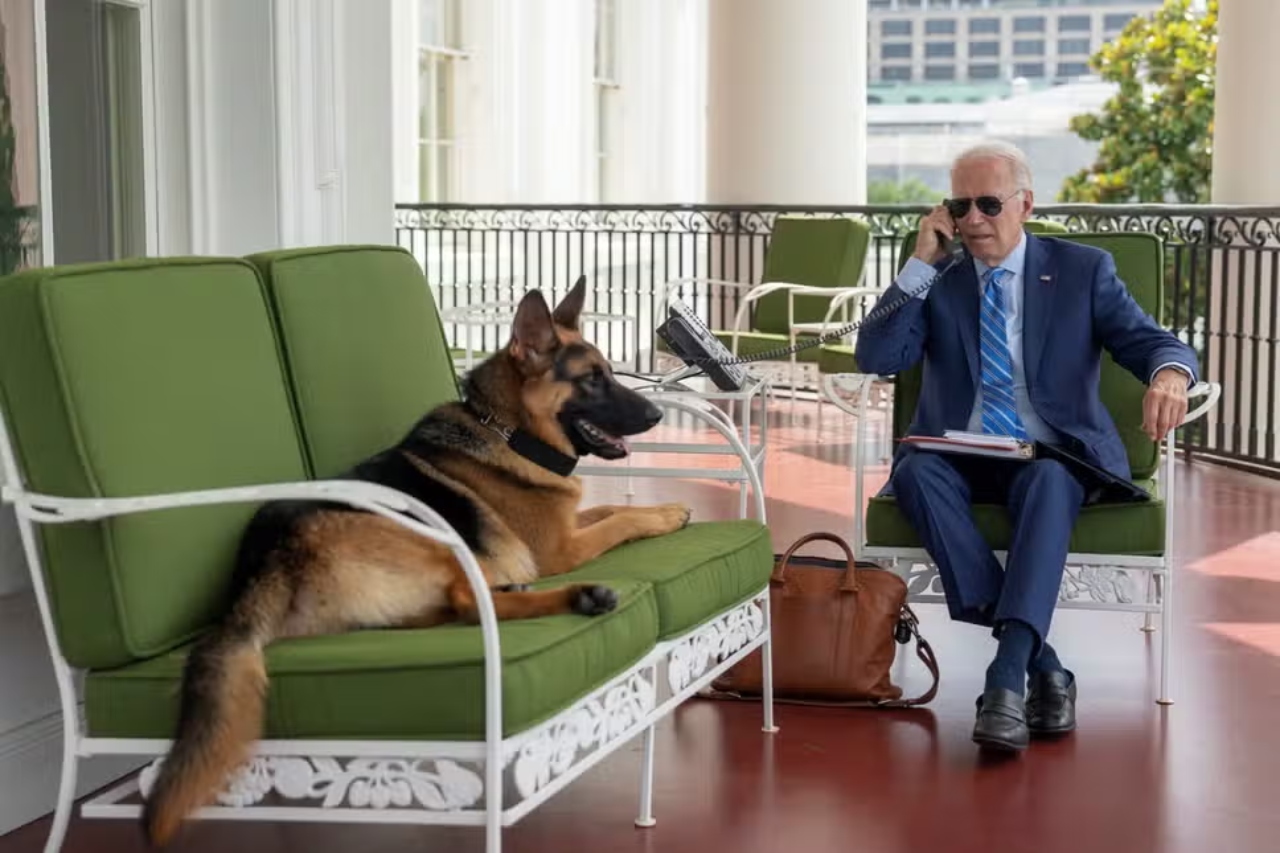 President Biden's dog Commander has found himself in the doghouse after a series of biting incidents at the White House.