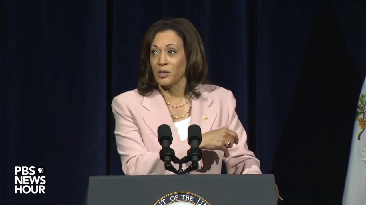 Vice President Kamala Harris made a verbal slip on Friday that put people in a frenzy after she spoke of the need to 'reduce population.'