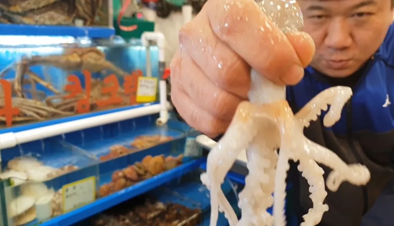 Doctors in Singapore were shocked to discover an octopus lodged in a man’s esophagus while performing a gastrointestinal exam.