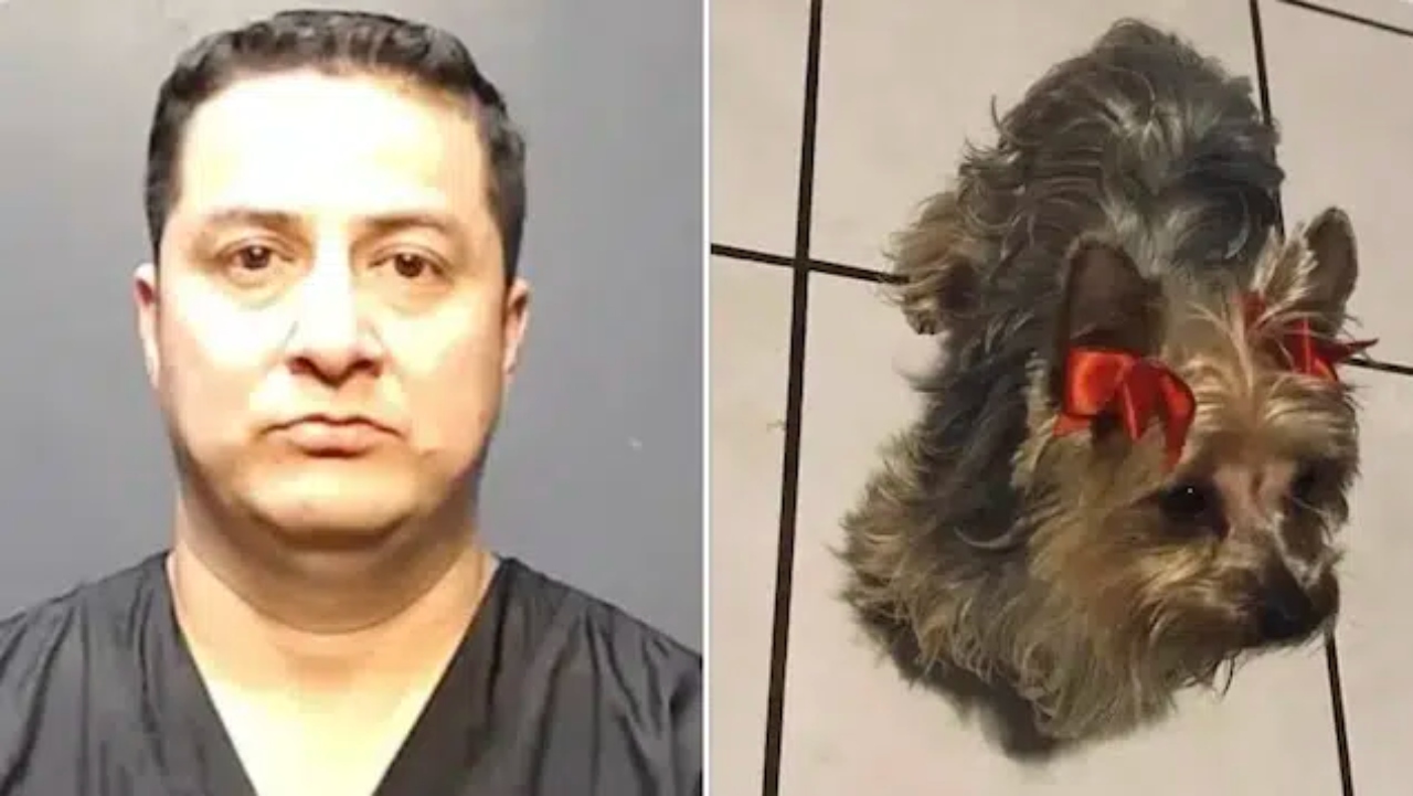 A Texas dog groomer has caused disconcert following allegations he killed a Yorkie after hitting the animal in the stomach and grabbing her neck